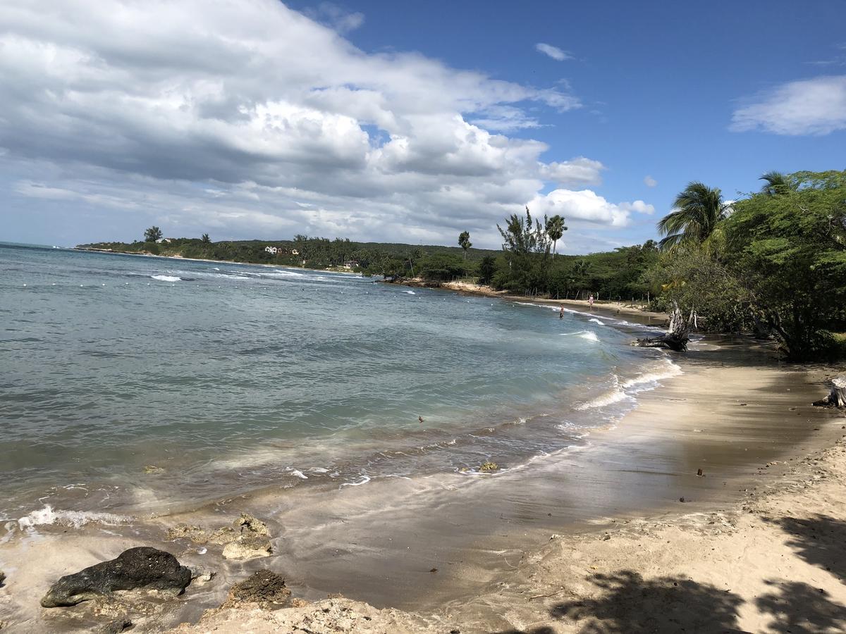 Brytan Villa Treasure Beach Esterno foto